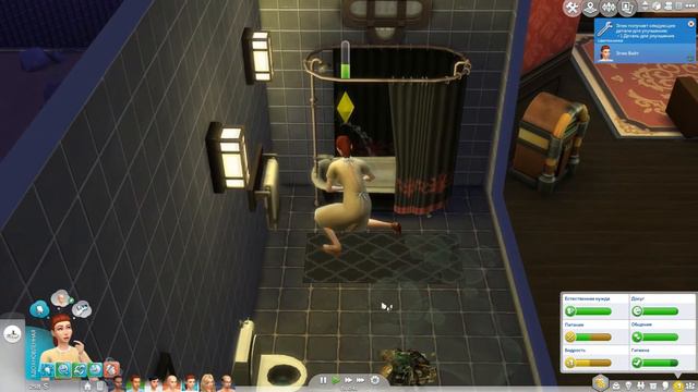 TS4 | Челлендж 