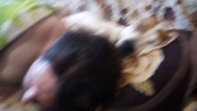 тихий час