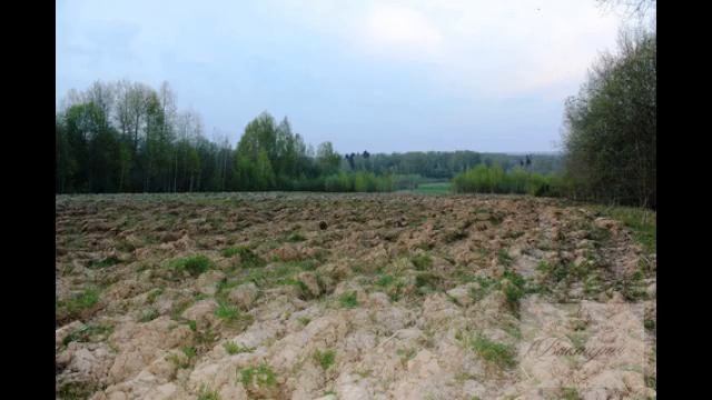 Продается участок площадью 4 га в красивом и живописном месте.