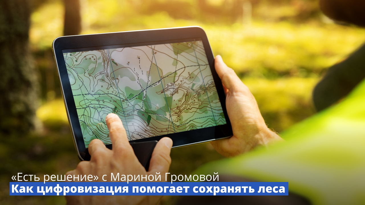 Программа «Есть решение» с Мариной Громовой: Как цифровизация помогает сохранить леса