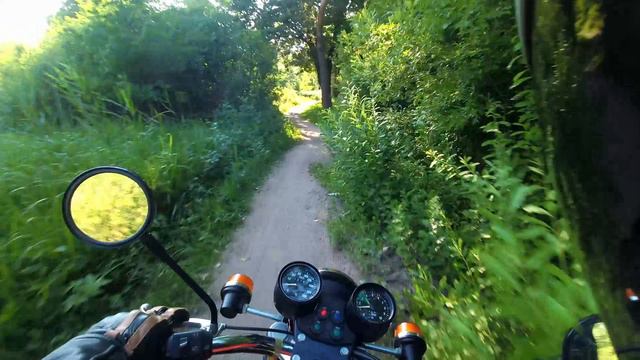 Дикий путь #мотоцикла #jawa в #лесу  #jawa350piter #ява350питер #ява