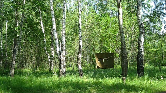 стрельбы в лесу