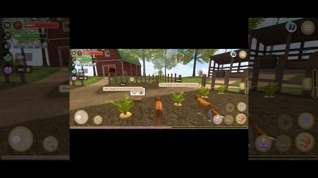 я выполнила 2 задания в cat simulator
