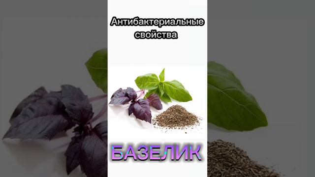 Полезные советы 😉