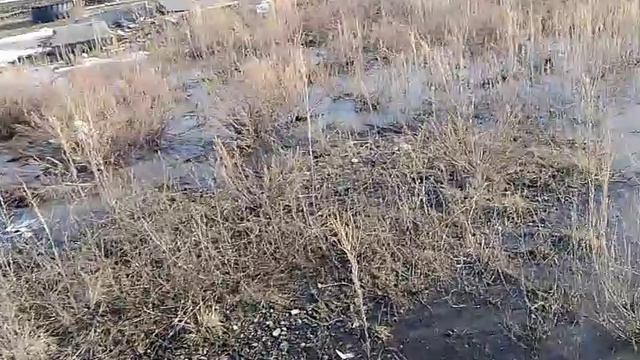 паводок в Омской области одесский район