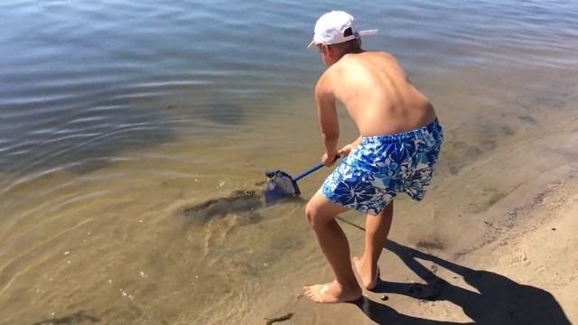 ШОК! ЛОВЛЮ РЫБУ САЧКОМ