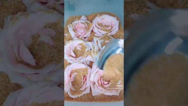Pink Rose Preservation