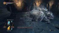 Vordt with FOV mod