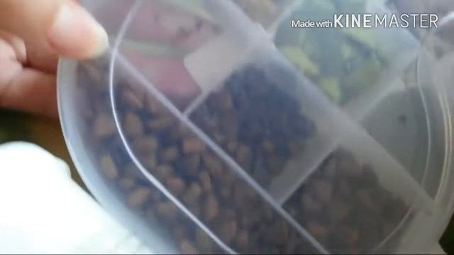 🐱ВЕЩИ МОЕГО КОТЕНКА🐱. ЛАКОМСТВА МОЕГО КОТЕНКА🐱.ВЕЩИ БРИТАНСКОГО КОТЕНКА🐱.