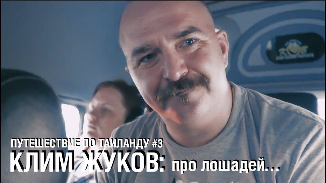 Клим Жуков: путешествие по Тайланду: #3 - про лошадей
