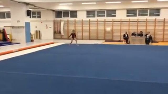Выступление Анны Мальковой, в программе двойное сальто.