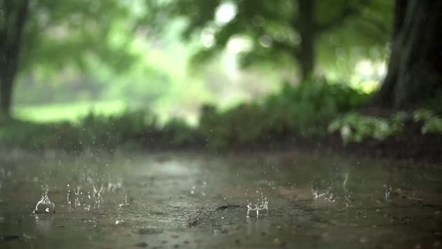 Летний дождь в лесу 🌲🏕🏞🌄Помощь каналу!!!   89518610756 Сбербанк