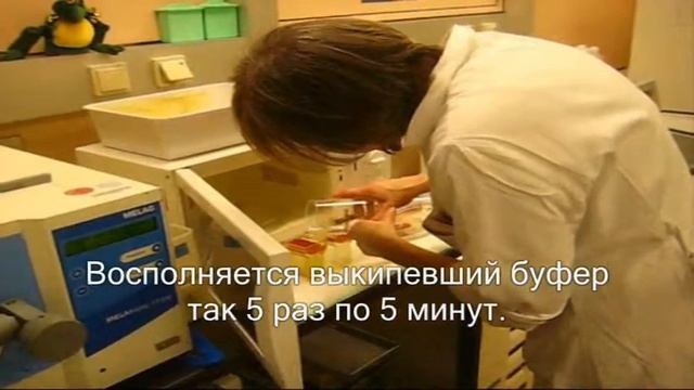 ИГХ часть 1