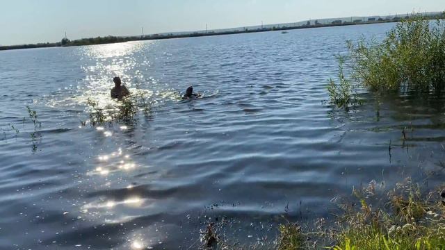 НА ОЗЕРЕ ВОДА ЕЩЁ ТЁПЛАЯ |И СУЕТА   В УСТЬ КУДЕ |