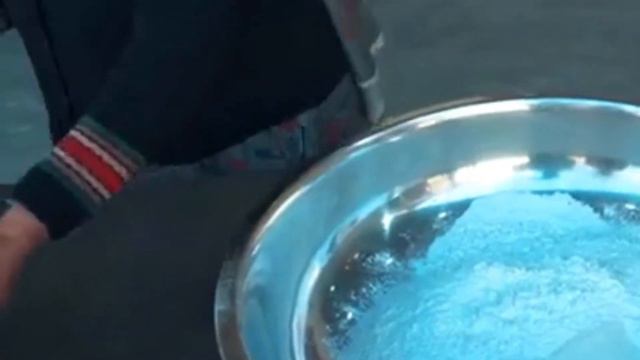 Potato Twister ||Unravel the Wild World of Potato Twisters || Mysterious Potato Twisters