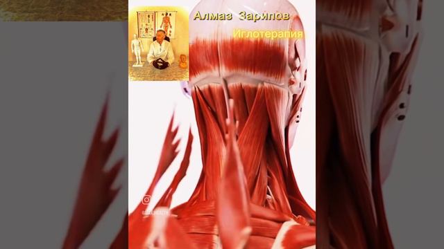Здоровье