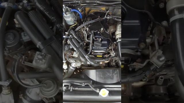 Итоговый результат мойки двигателя Nissan Pathfinder R51
