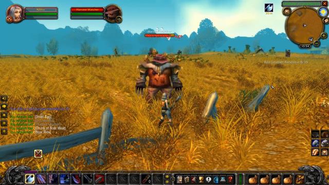 WoW Classic Noob run