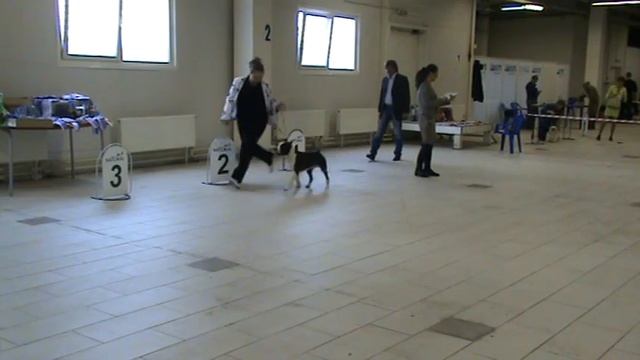Зимняя сказка 03-03-2013