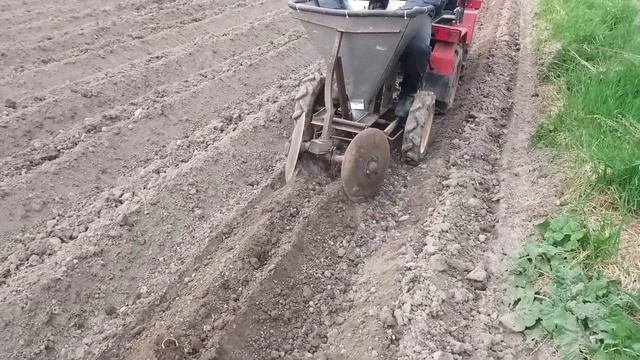 мтз - 132н посадка картошки