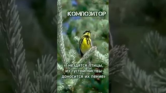 Eсть ли профессия у Бога?