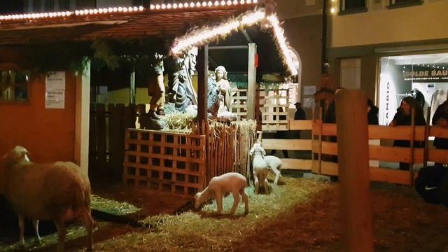 Жизнь в Германии❄У нас есть НОВОСТЬ! Esslingen "РОЖДЕСТВЕННСКАЯ ЯРМАРКА"