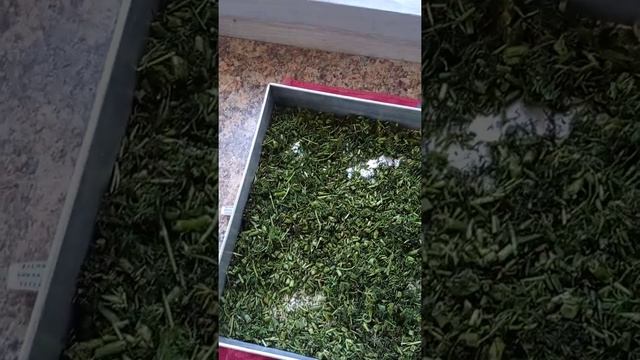 Приправа ?универсальная? на зиму?⭐ РЕКОМЕНДУЮ ?