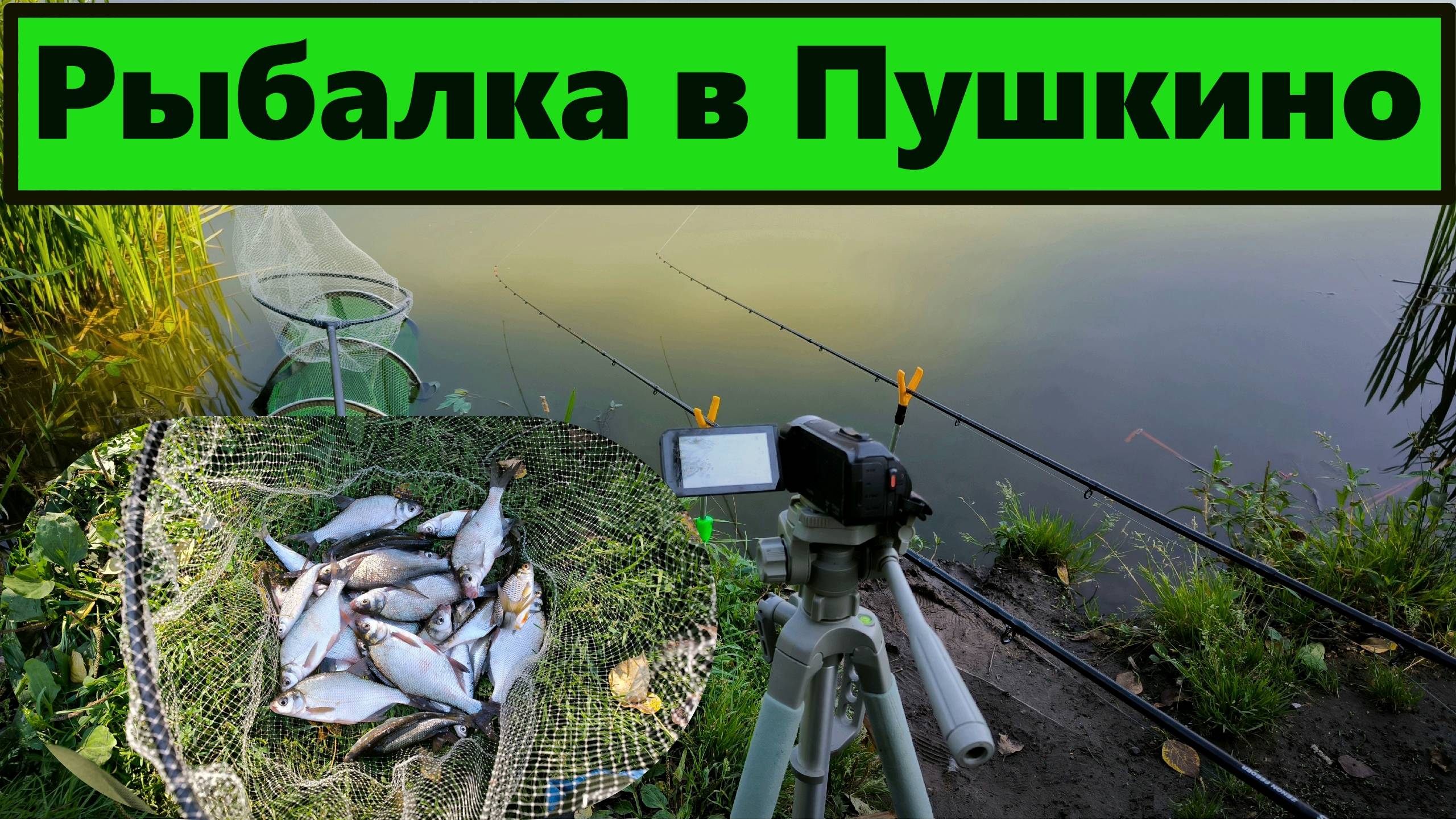 Рыбалка в Пушкино на фидер осенью