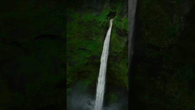 Красотища какая?