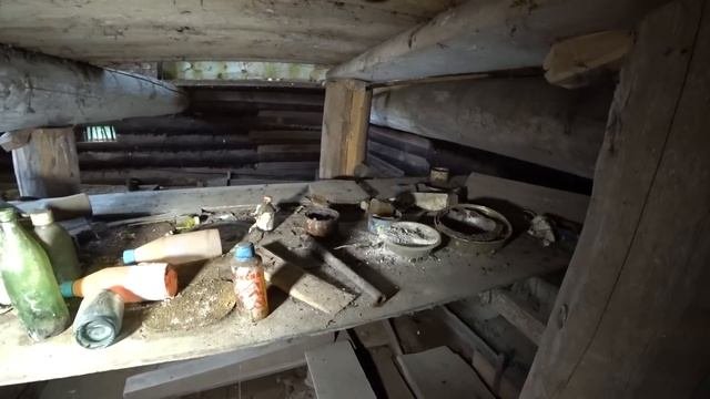 Тут жили сотни людей теперь хозяева здесь дикие животные! Заброшенная деревня КУШНУР Кировская об