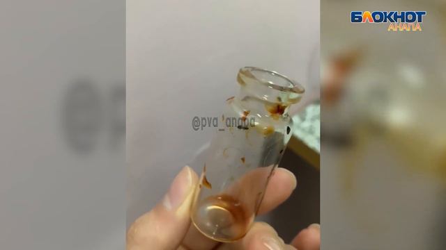 Муравьи и непонятное лечение - анапчанка возмущена условиями в больнице в Анапе