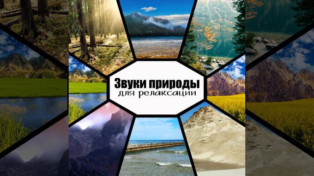 Звездная ночь