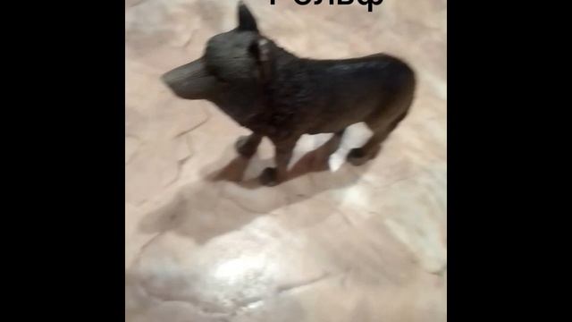 мои волки если бы были коты воитили