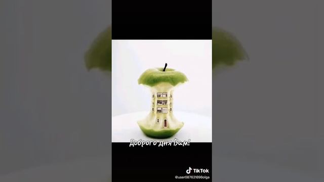 Добрый день друзья!