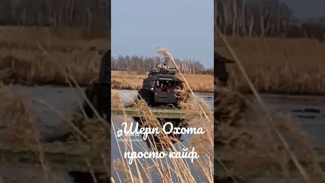 Охота на Шерпе кайф#шерп #охота #кайф #бомба #вездеход.mp4 #техника