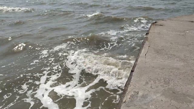 Мариуполь. Мертвый дельфин на пляже. Море меняется каждый день Левый берег