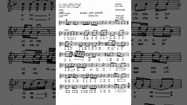 3336 Akşam AşIp GidİYor (Keklik)