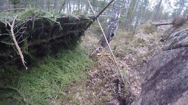 Укрытие в лесу