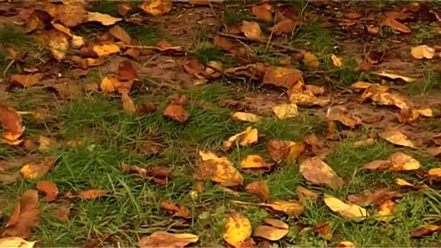 Коротко о главном Нормы внесения минеральных удобрений