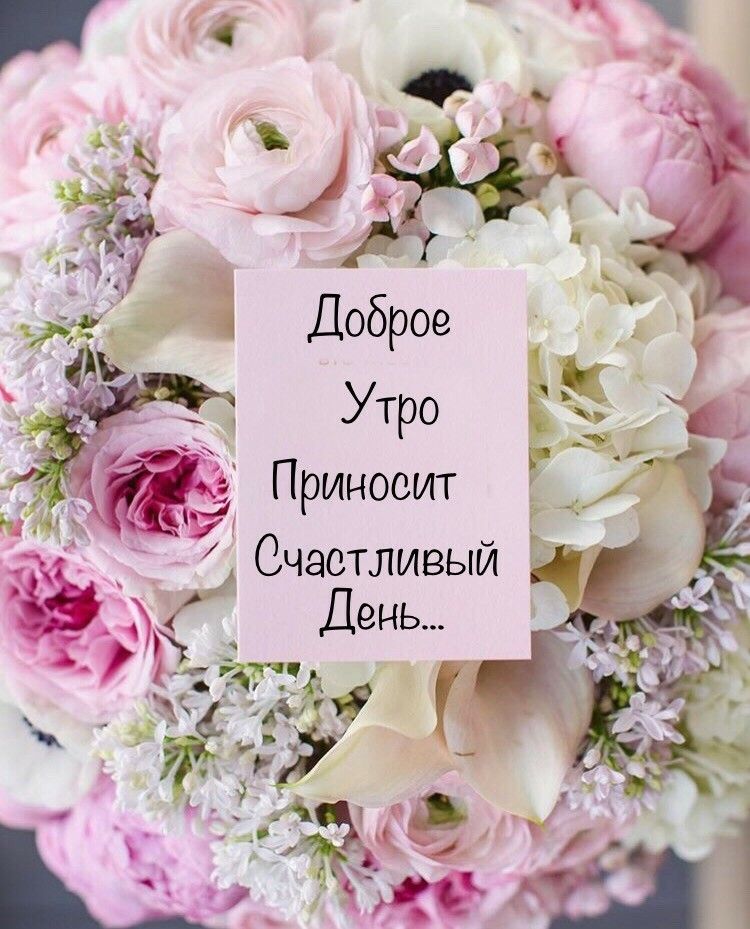 Стильные Картинки С Добрым Утром И Хорошего