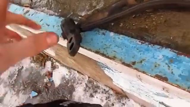 БМВ е 36 содержание ремонт подвеска помпа масло