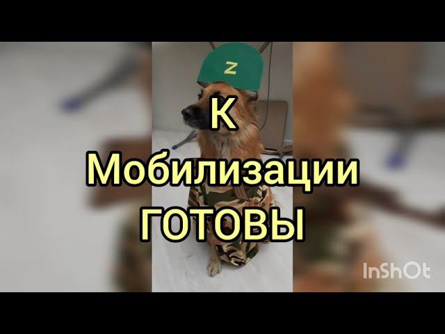 К мобилизации готовы