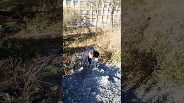 Оператор