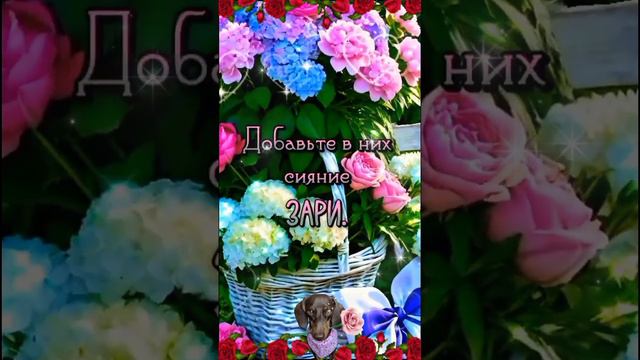 Video.Guru_20240806_144059468.mp4