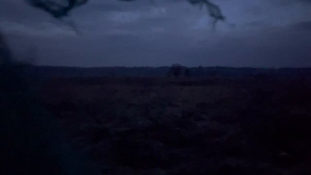 Охота на тетерева из шалаша 2023