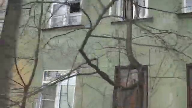 Незаконные земляные работы в городе Королёв