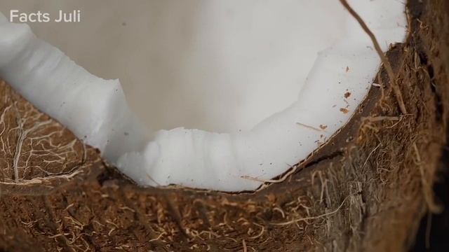 Самые Опасные Деревья, Которые Нельзя Трогать!?