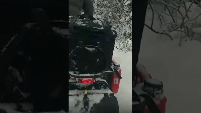 Катаюсь в санях по Сибирской тайге на снегоходе тайга варяг 550V
