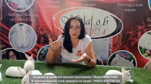 Вебинар Бастау Бизнес "Атамекен"