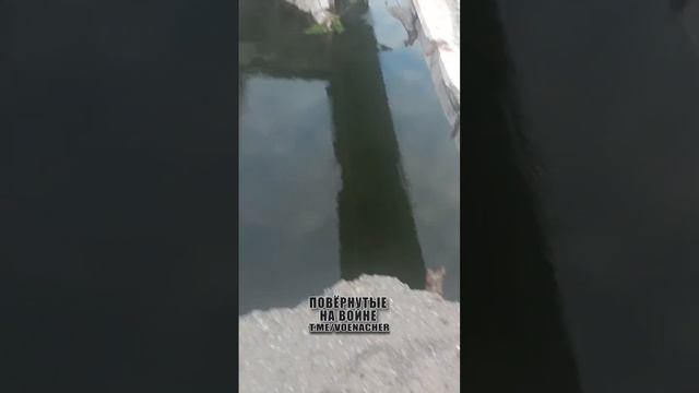 Видео от врага. Уничтоженный мост через реку Оскол в Купянске.